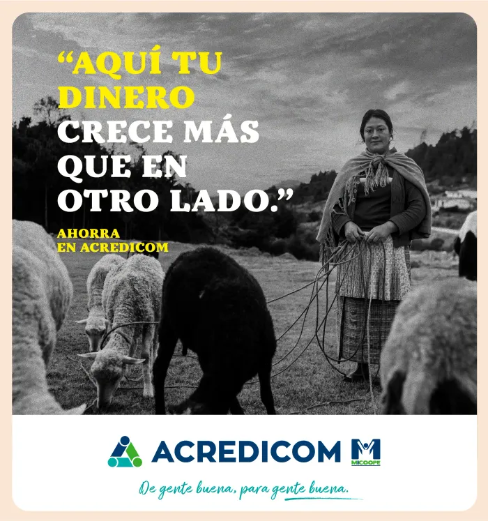 Actualiza tus datos Sumate